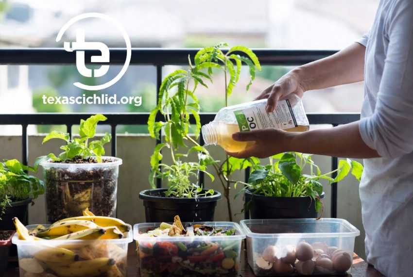 Pemanfaatan POC dari Limbah Dapur