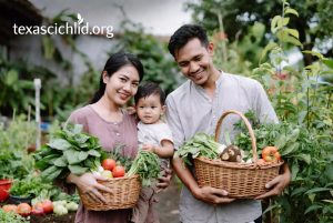 Manfaat Sayur Organik dari Kebun Sendiri