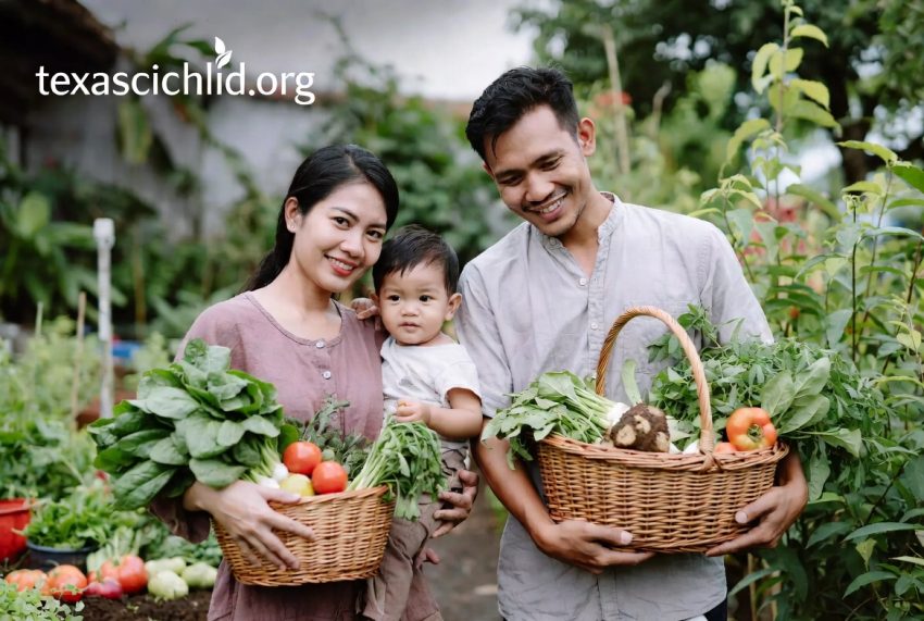 Manfaat Sayur Organik dari Kebun Sendiri